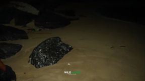 BACKSHOT AT THE BEACH