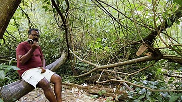 CONHECI ESSE P@IZÃO NA FLORESTA E DEI GOSTOSO PARA ELE ENQUANTO OS OUTROS MACHOS QUE PSSAVA FICAVA SALIVANDO PRA ME FODER TAMBEM