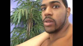 Renae Cruz Insasiable Slut with More Desires