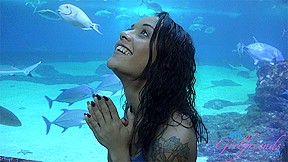 Holly Hendrix in Virtual Vacation Movie - AtkGirlfriends