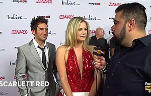 Craziest Thing Inserted in Vagina 2015 AVN Red Carpet Interviews PornhubTV