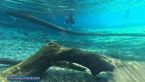 Cat Woman returns to Carissa form and snorkels the dark tree limb forest