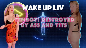 Ended by Fembot