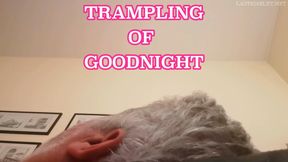 LADY SCARLET - TRAMPLING OF GOODNIGHT - CALPESTAMENTO DELLA BUONANOTTE