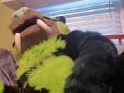 Kitty wants more