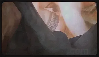 Jeanna Fine MILF Seduction with Mike Horner - Classic Scene