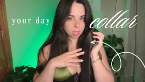 Your Day Collar