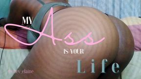 My Ass is Your Life!