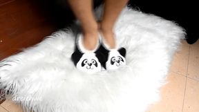 panda bear slippers