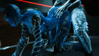 skyrim warframe mag porn