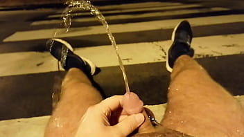 Public Piss City 1