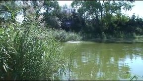 Country Cows - Vacche Di Campagna DVD