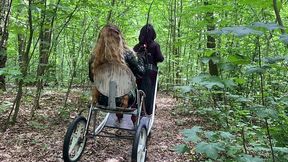 ponyplay cart pulling 2