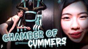 Chamber Of Cummers
