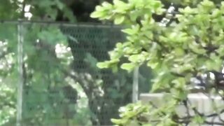 Exhilarating Encounter Tokyo Teases Uninhibited Urge