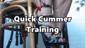 Quick Cummer Training (MOV)