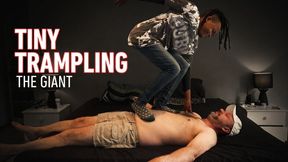 Tiny Trampling The Giant