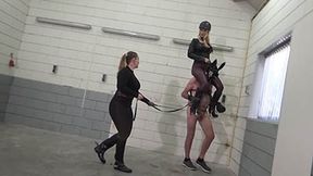 Lesson of Dressage - 2 - MP4 (HD)