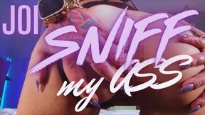Sniff my Ass JOI