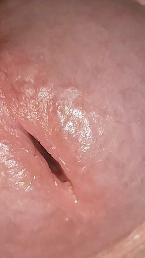 Small Pussy Dick Slowly Blossoming.
