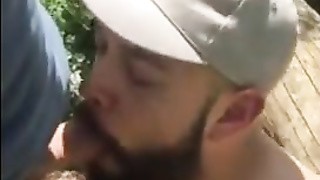 Bear cruising in the woods 5