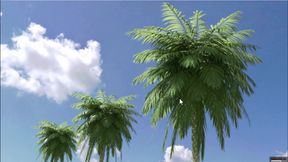 Summer with Mia 2 #6: Giselle gave me a blow job