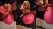 3 Nuts on Rock Concert - Happy Life Party Big Balls Futanari Sofa Nutty Concert Huge Saline Balls Crushing Plush Toy Ballstretching Ballbusting CBT