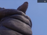 Wild Life / Gay Furry Blowjob in POV