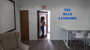 The Mean Landlord