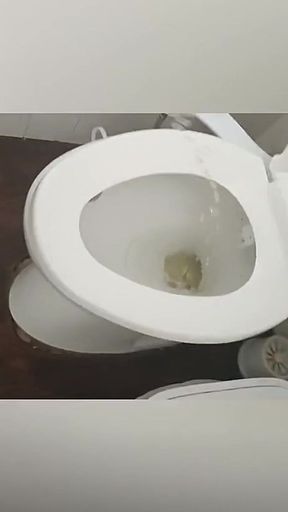 Pissing in Bathroom Sink Compilation
