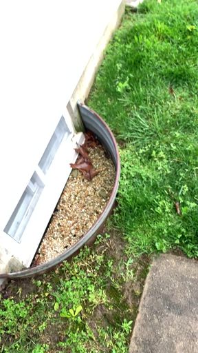 Caught Masturbating by BF
