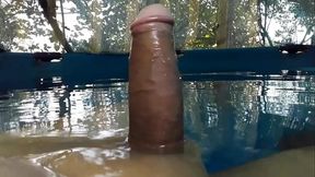 Mi pija afeitada 17x3 cm en la pileta y tambien mi cola depilada, me gusta meterme en la pile desnudo x la ma&ntilde_a ,al medio dia y a la noche tambien