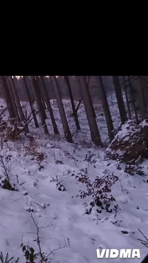 Nude Nature in Winter