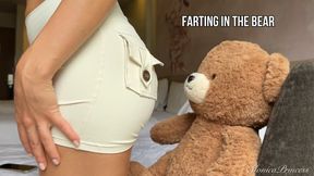 Farting In the Bear