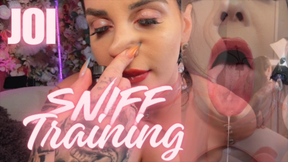 Sniffing Training JOI
