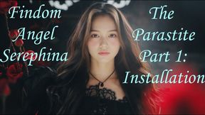 The Parasite Part 1 - Installation