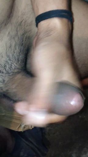 4K Full Original Videos