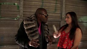 stephanie saint and moe johnson share intense interracial anal sex
