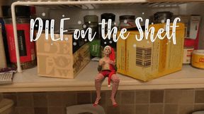 DILF on the Shelf - Richard Lennox - Manpuppy - MP4 1080