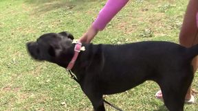 Sexy and Beauty Lesbians Spread Legs and Gets Horny Fingering and Licking Dildo Fucking