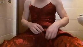 Sissy in Crimson Gown 13544779