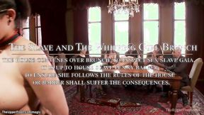 ”Big Titted Oriental & brunette fuck at party”