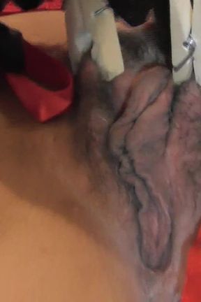 Just Love Clothespins on My Big Pussy