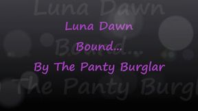 Luna Dawn Bound By The Panty Burglar