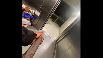 Public Elevator Got Stuck So I Stroked My  Bbc (Solo Almost Caught)