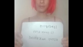 V&iacute_deo de verificaci&oacute_n