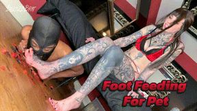 Foot Feeding For Pet