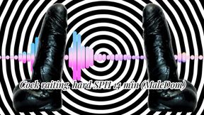 Cock raiting, hard SPH 14 min (MaleDom)