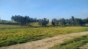 hermanastra se pone de exhibicionista en el parque, termina llena de leche de su hermanastro.