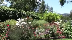 Busty blonde milf rides hard cock hornyly outdoors